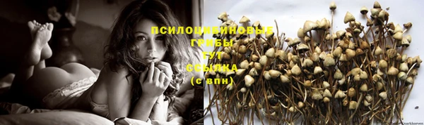 трава Каменск-Шахтинский