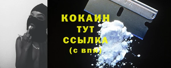 гашик Каменногорск