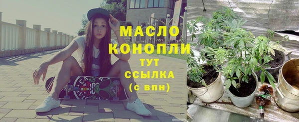 гашик Каменногорск