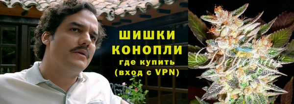гашик Каменногорск